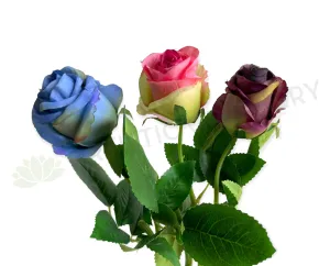 F0417 Single Rose Stem 39cm Blue / Pink / Purple (SPECIAL)